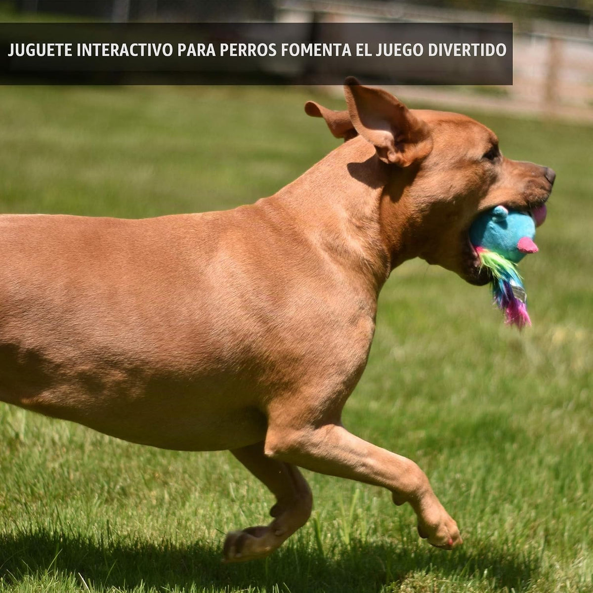 Hyper Pet Doggie Pal Unicorn Juguetes de peluche interactivos para...