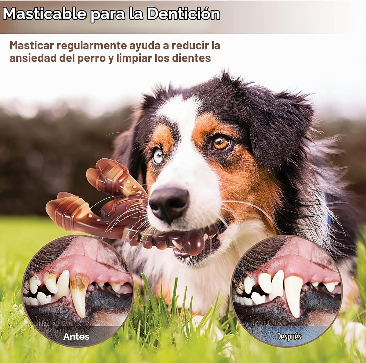 PETSTA Juguetes indestructibles para perros masticadores agresivos,...