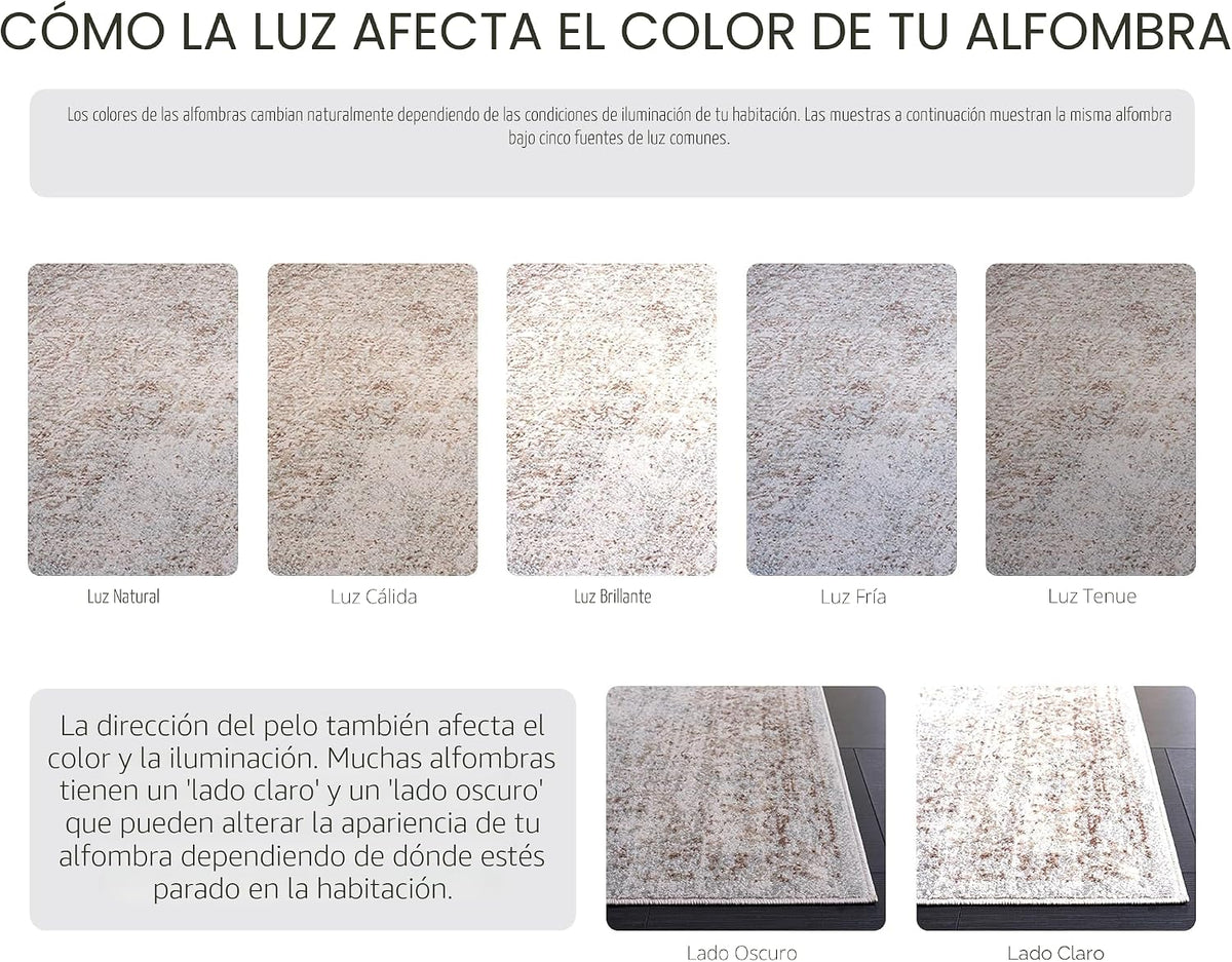 SAFAVIEH Alfombra de Área 9x12 - Colección Evoke - Grande - Marfil...