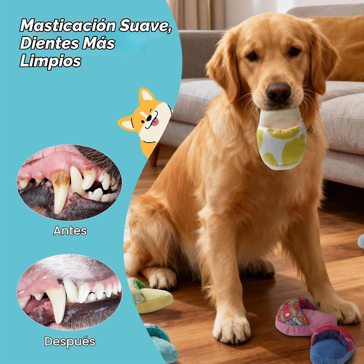 Nocciola Paquete de 10 juguetes deslizantes para perros, juguetes c...
