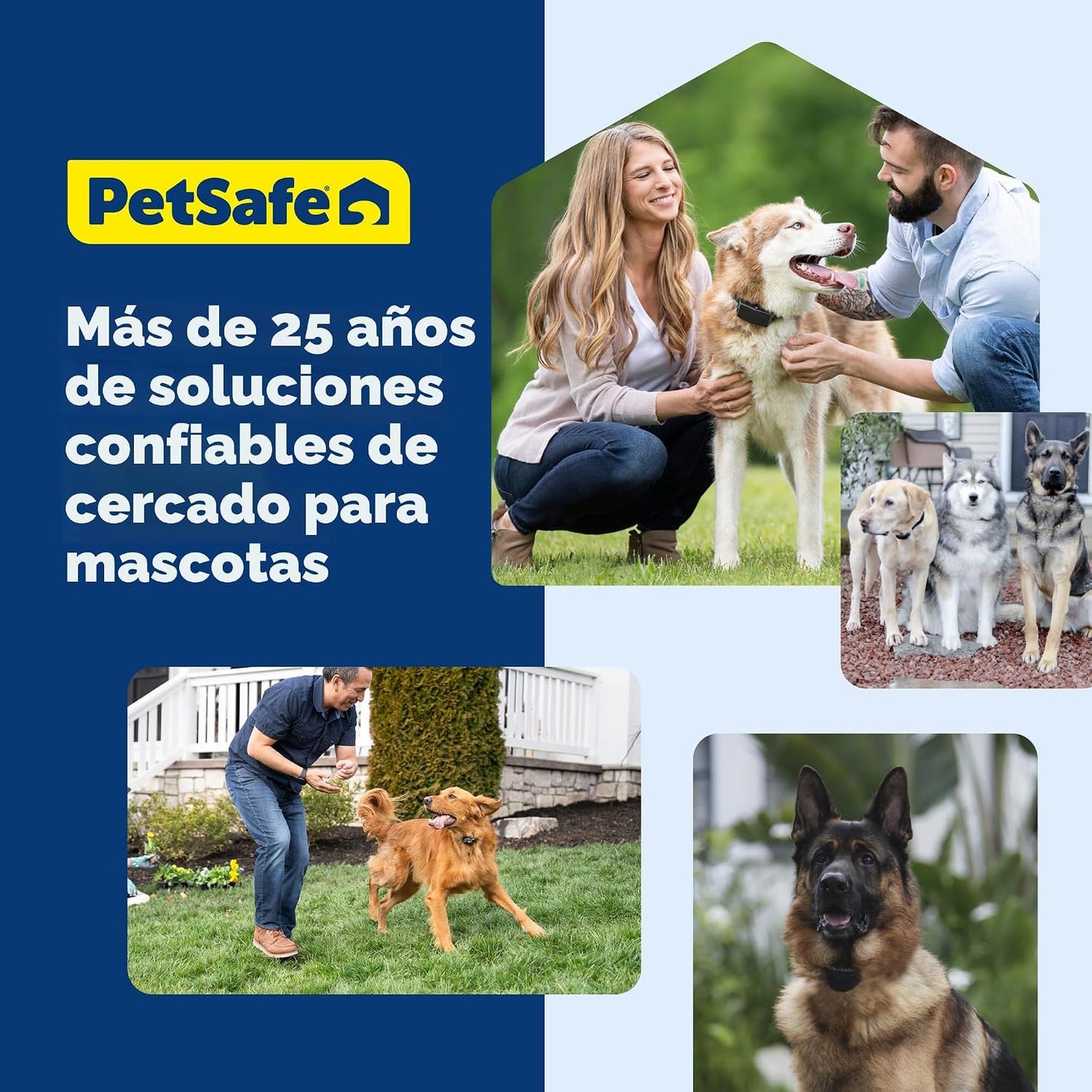 PetSafe Stay &amp; Play - Valla inalámbrica para 2 perros obstinado...