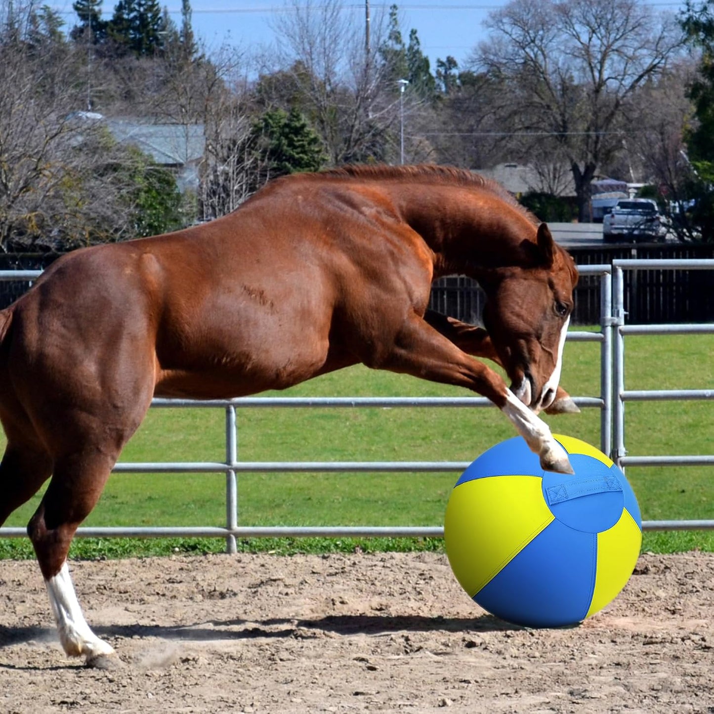 Pelota de pastoreo para perros y caballos, bola alegre de 18 pulgad...