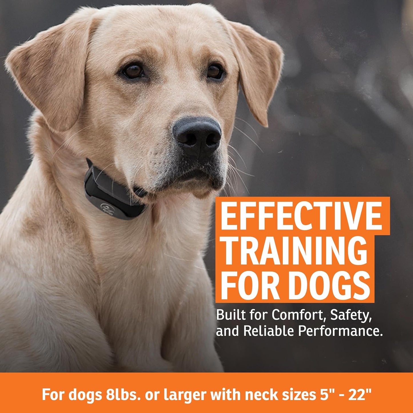 SportDOG SportTrainer - Entrenador remoto - Control fiable fuera de...