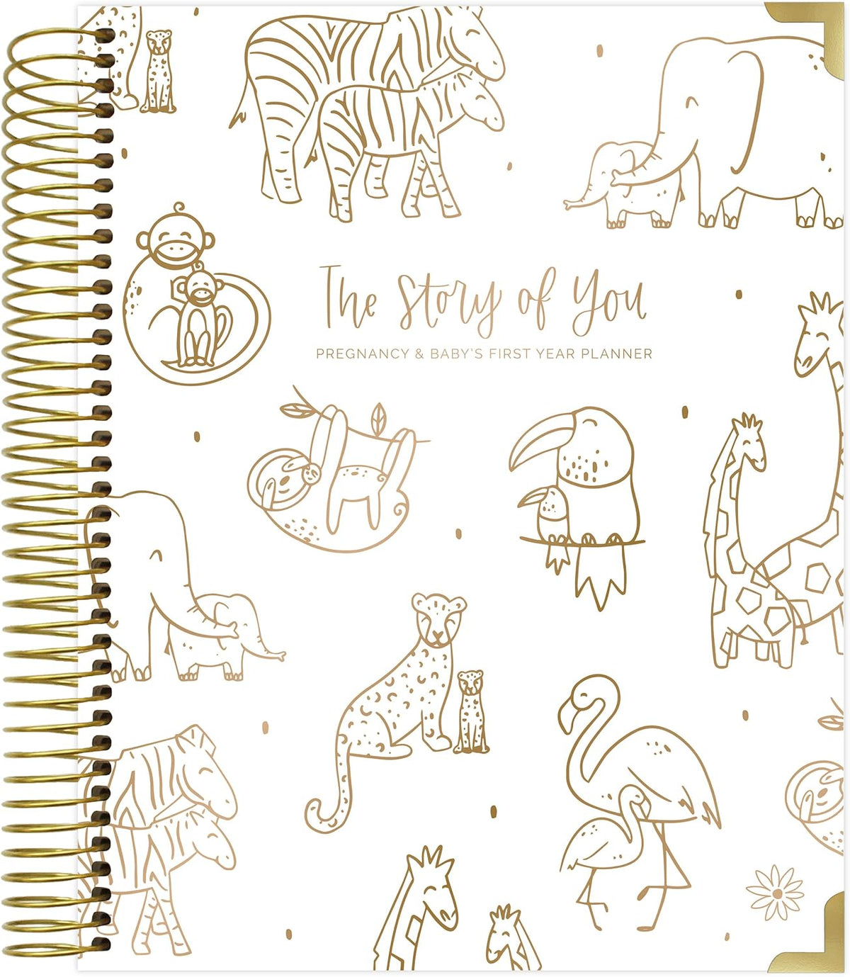 bloom daily planners Nuevo Calendario Planificador de Embarazo y Pr...