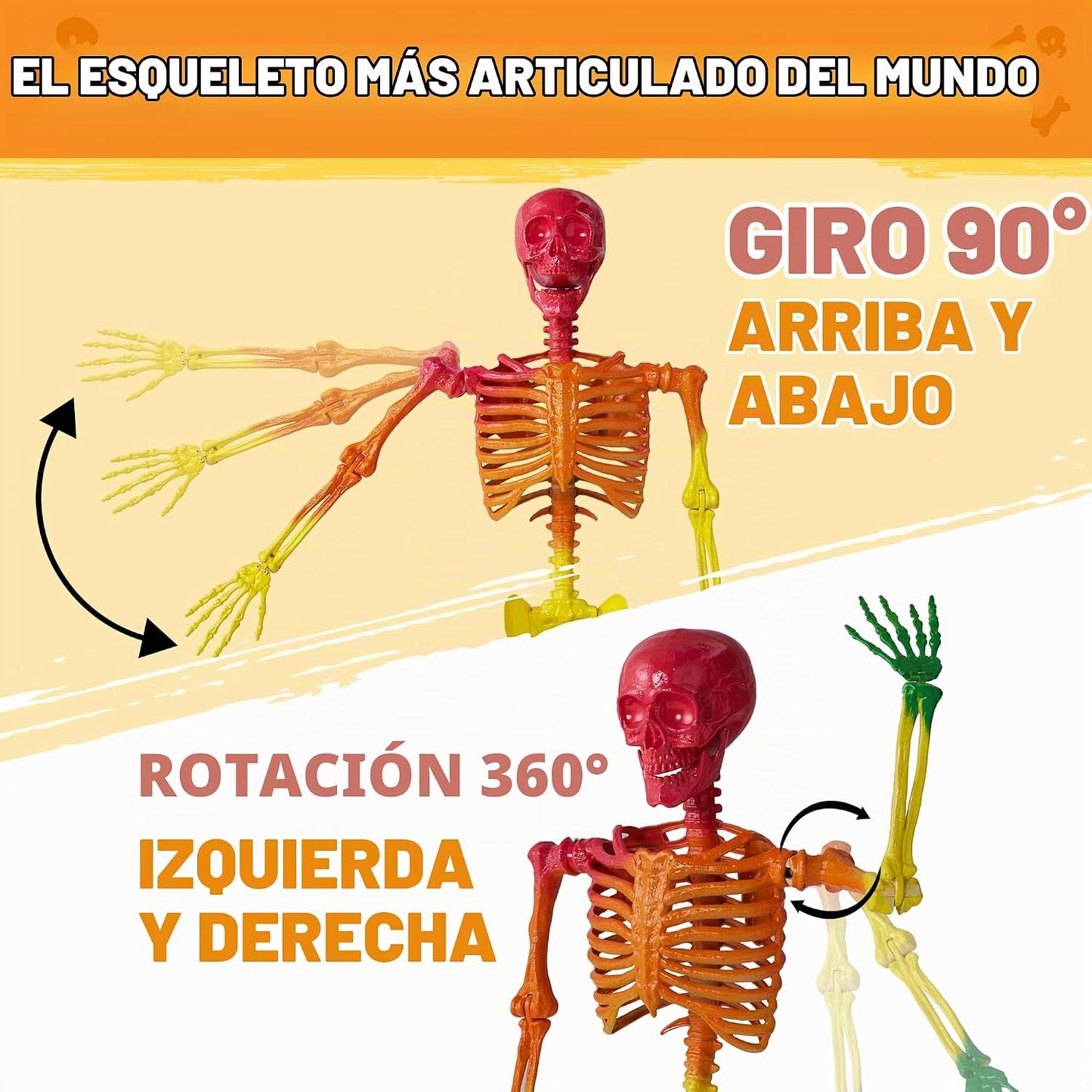 JOYIN Esqueleto de Halloween de tamaño real de 5.6 pies, huesos rea...