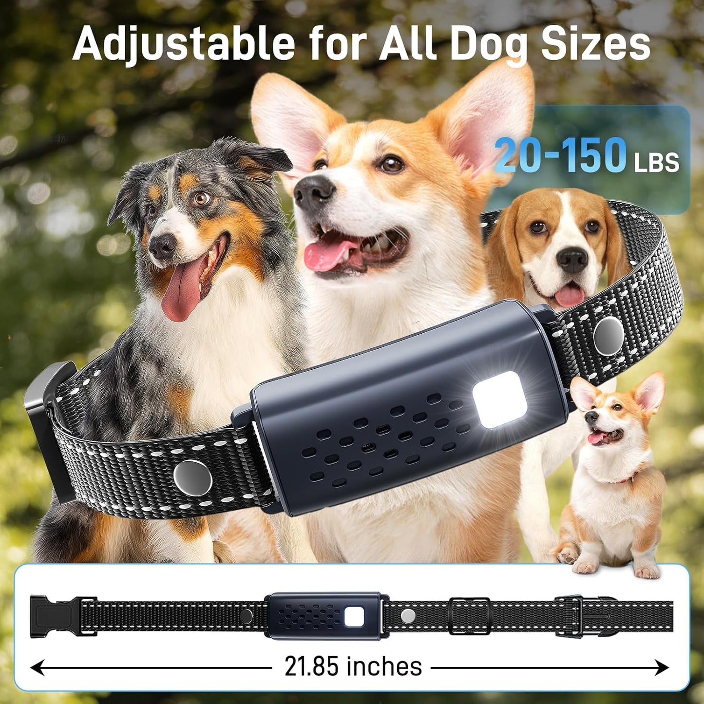 Collar de descargas para perro - Collar de entrenamiento de 4000 pi...