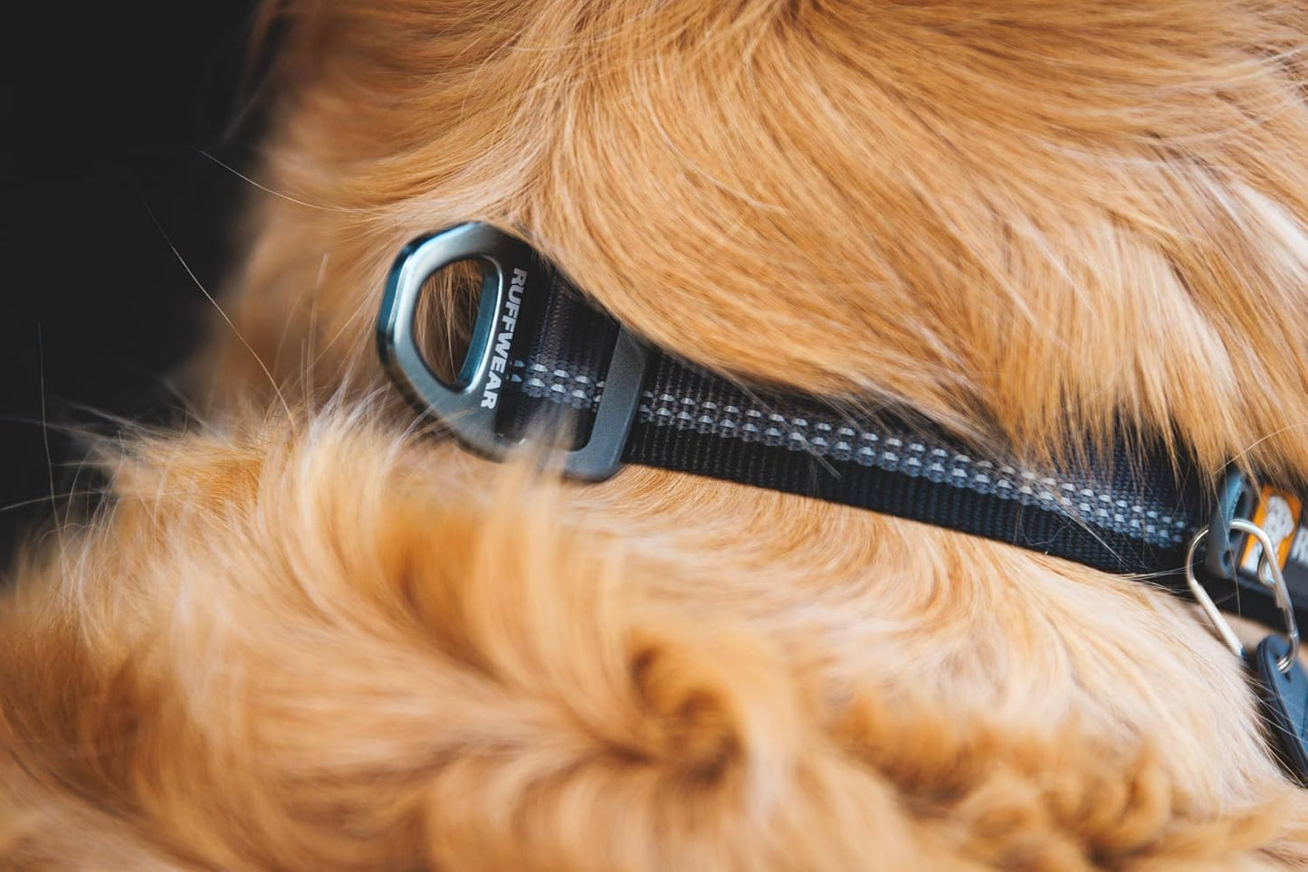 Ruffwear, collar de perro de cuerda superior, hebilla de metal, gri...