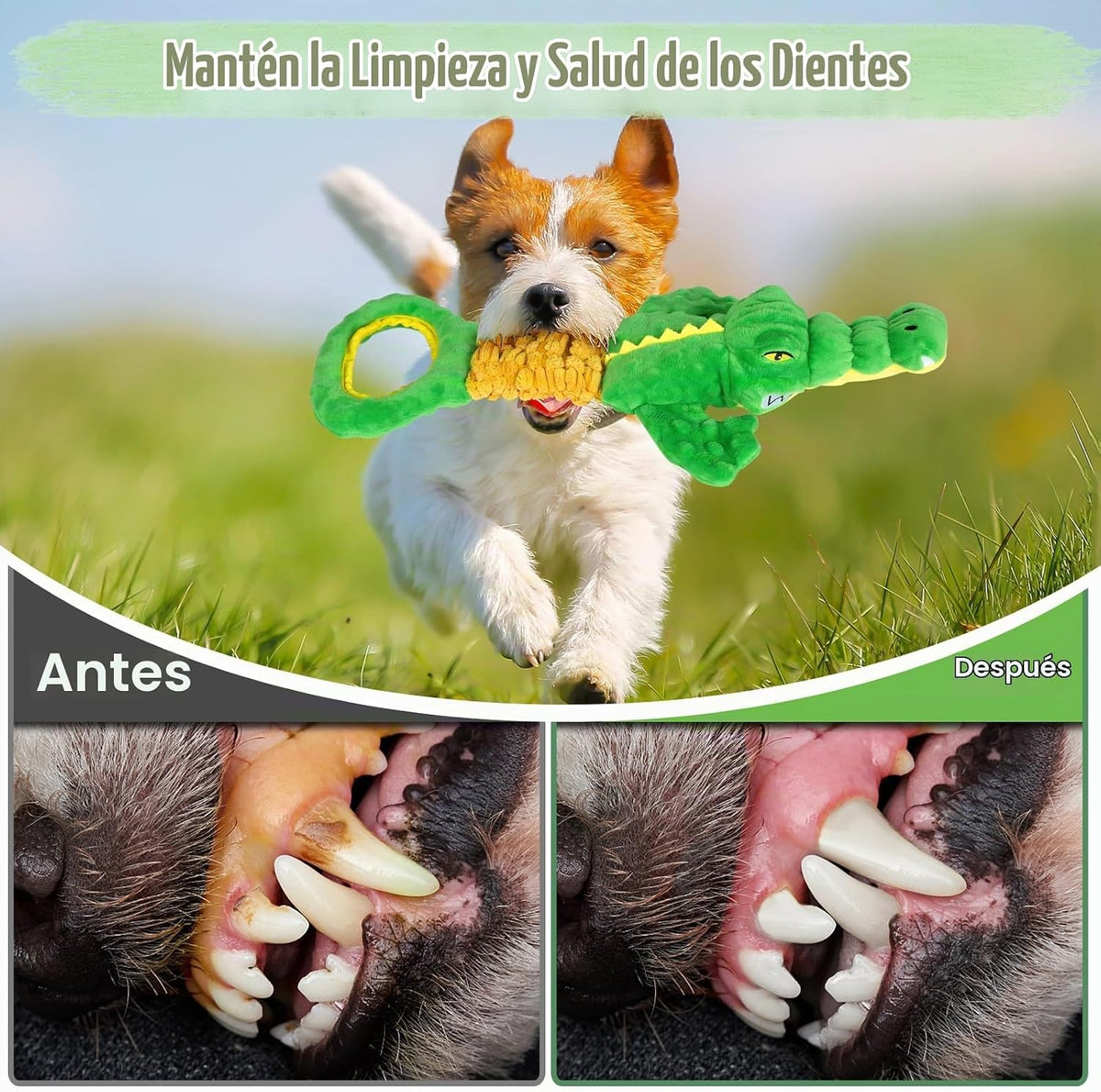 Eneston Juguetes grandes para perros, juguete de peluche chirriante...