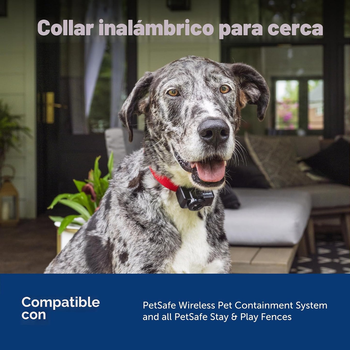 Sistema inalámbrico de contención para mascotas PetSafe, collar rec...
