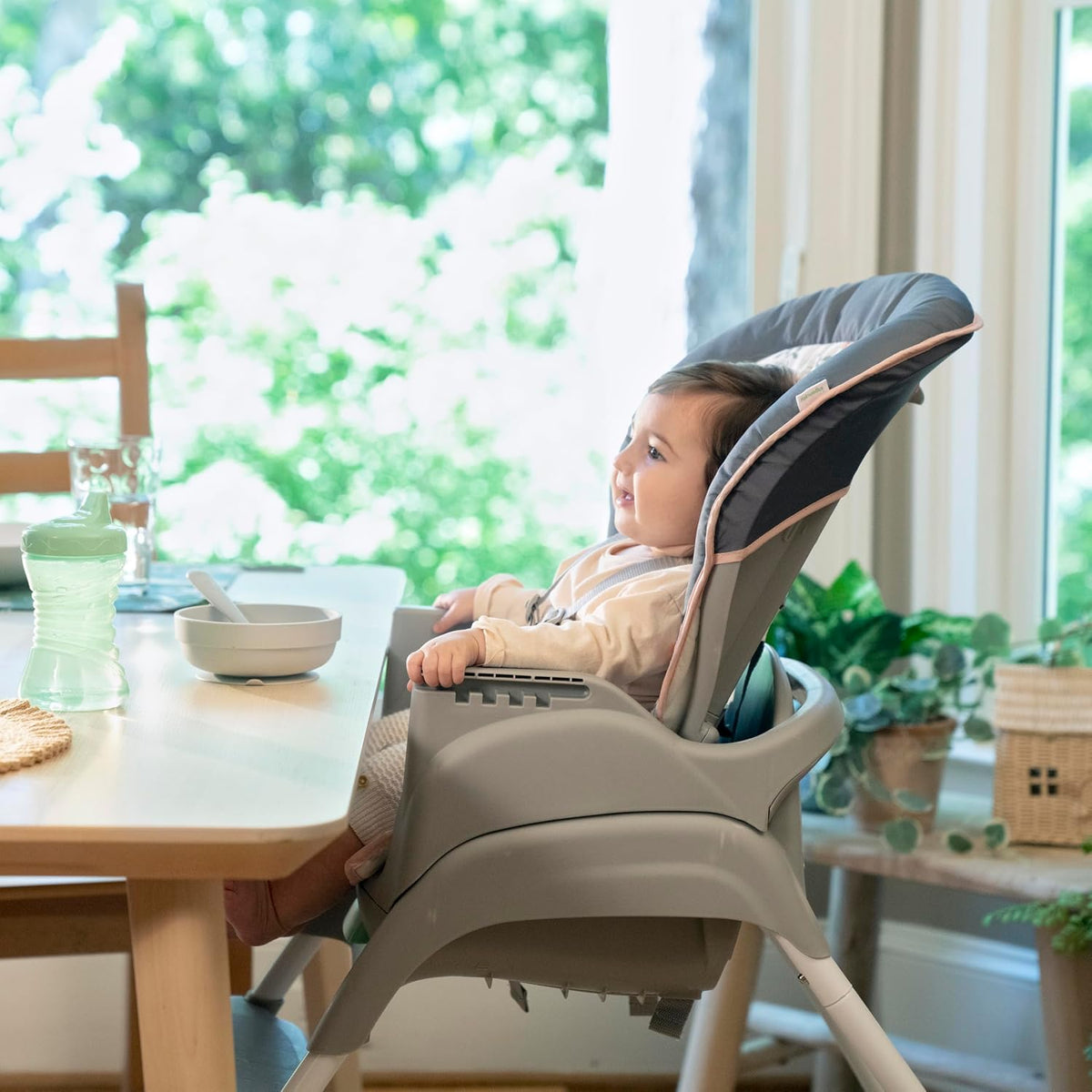 Ingenuity Full Course - Silla alta 6 en 1, bebé a 5 años, 6 modos c...