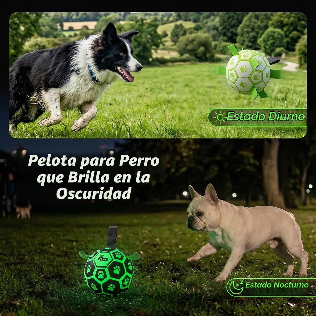 QDAN Pelota de fútbol para perros que brilla en la oscuridad con co...