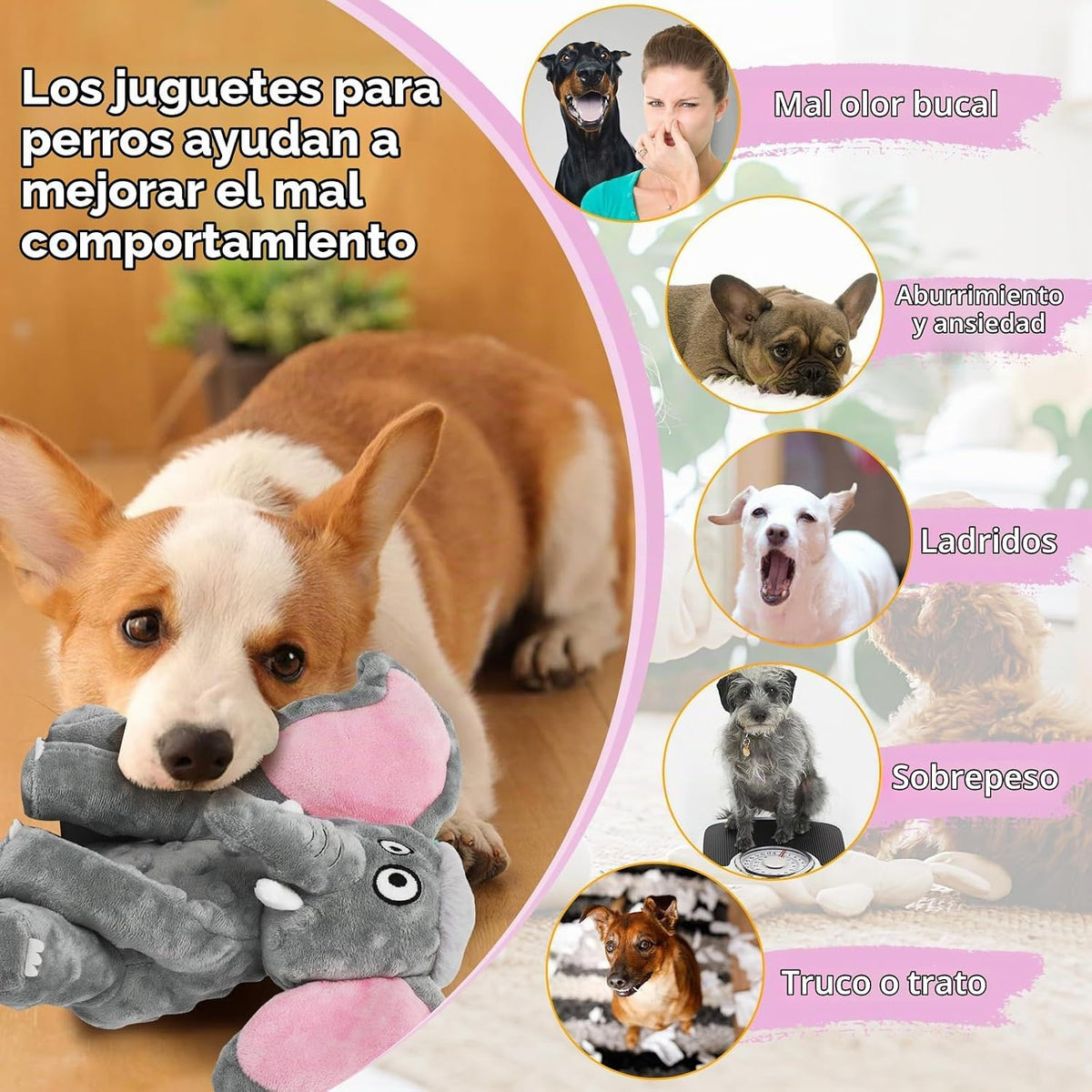 Letsmeet - Juguetes de peluche grandes y chirriantes y papel arruga...