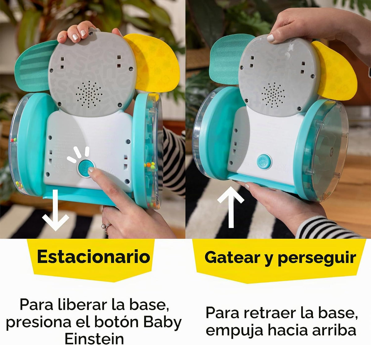 Juguete de bebé para gatear Earl de Baby Einstein Chase &amp; Tap,...