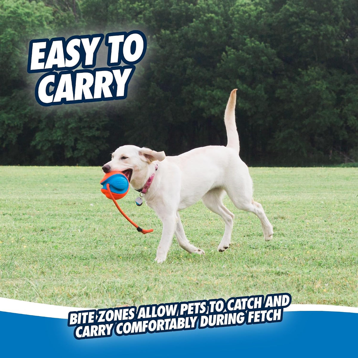 Chuckit! Juguete de cuerda para perros - Bola en cuerda para buscar...