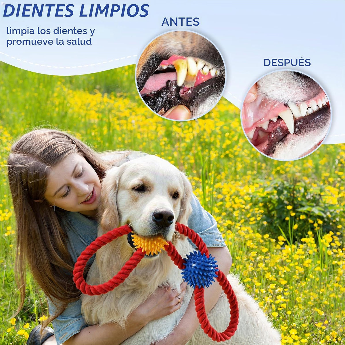 Aitmexcn Juguetes de cuerda para perros, juguetes resistentes de ti...
