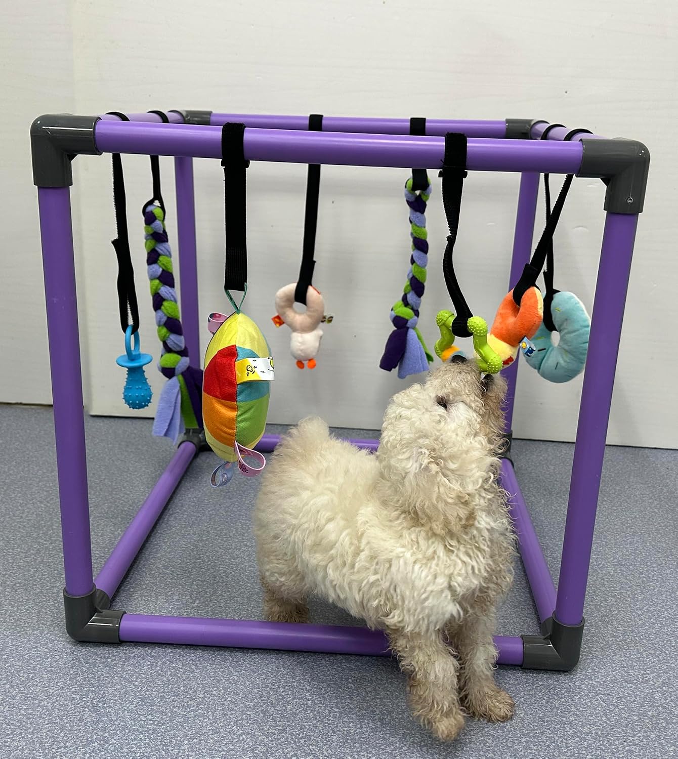DOZZOPET Gimnasio de Juego para Cachorros para Perros Pequeños con...