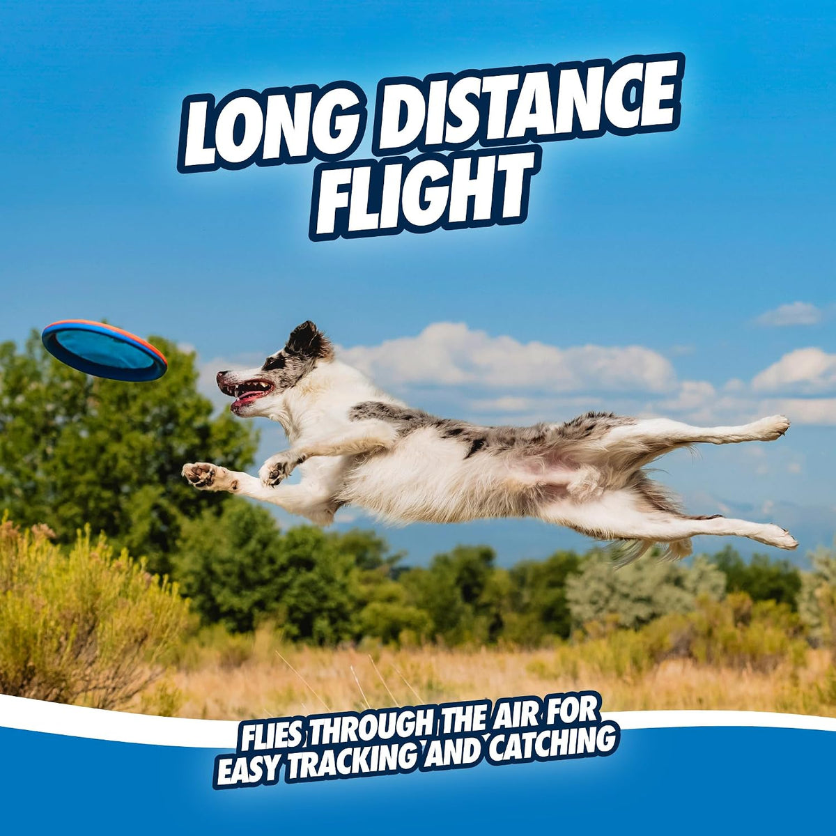 Chuckit! Paraflight - Disco volador para perros - Juguete flotante...