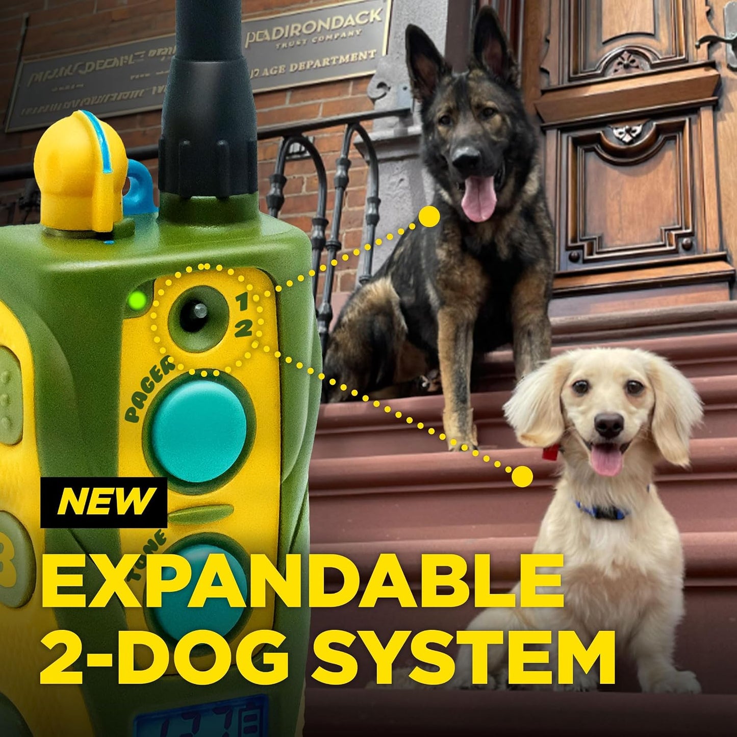 Dogtra E-Collar Tom Davis 280C 2.0 [Edición 2025], Boost &amp; Lock...