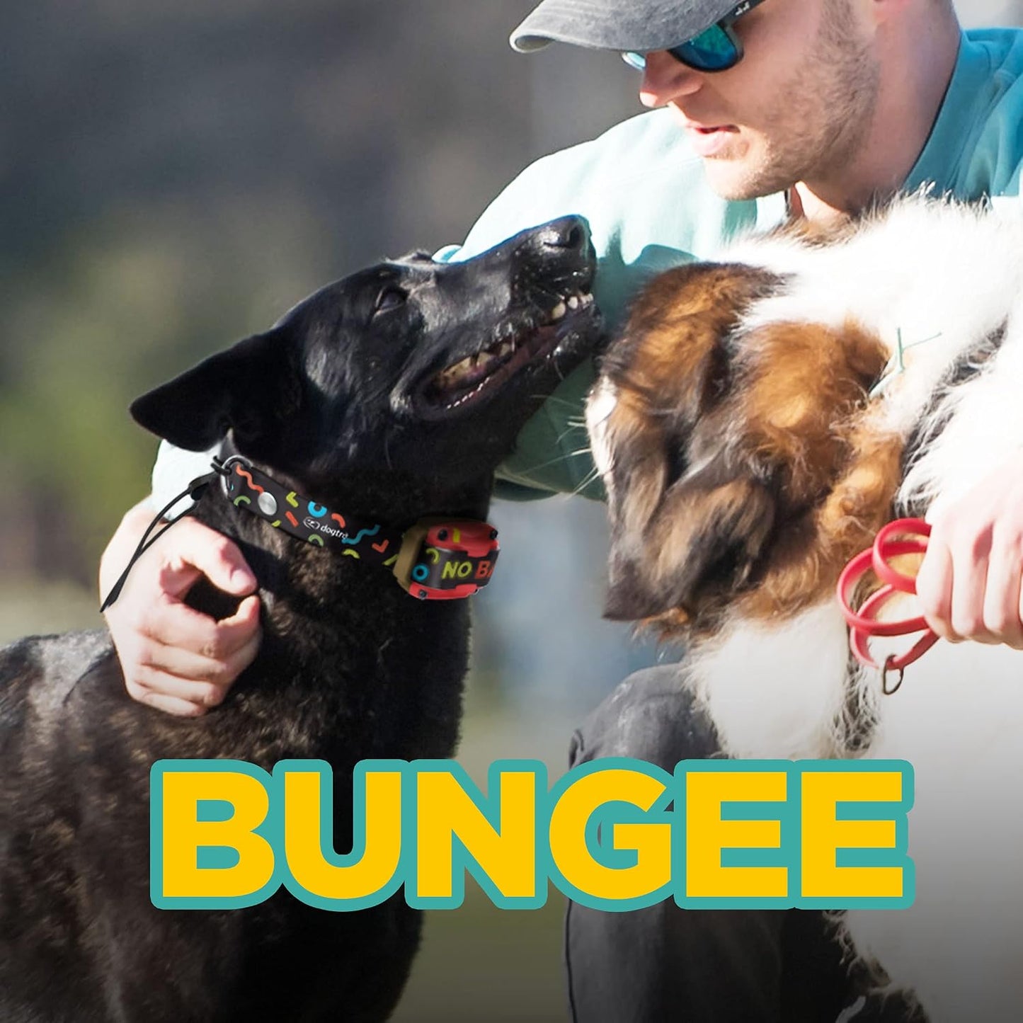 Dogtra Tom Davis Collar Bungee Cómodo de fácil ajuste Compatible co...