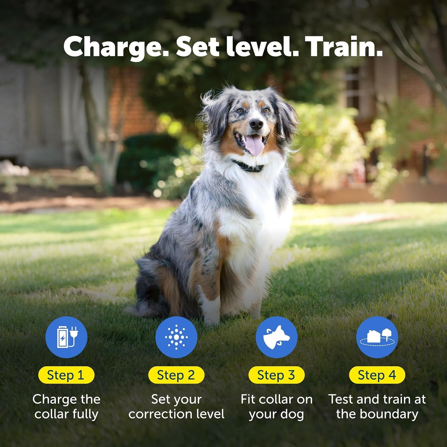 PetSafe YardMax - Collar de valla para perro, collar eléctrico impe...