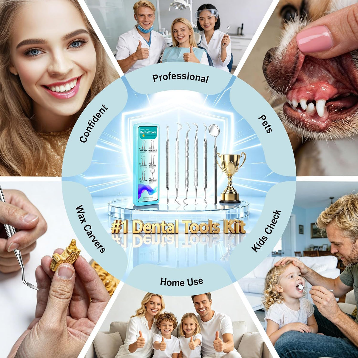 CATACC PRO Kit de herramientas de púa dental, raspador de dientes r...