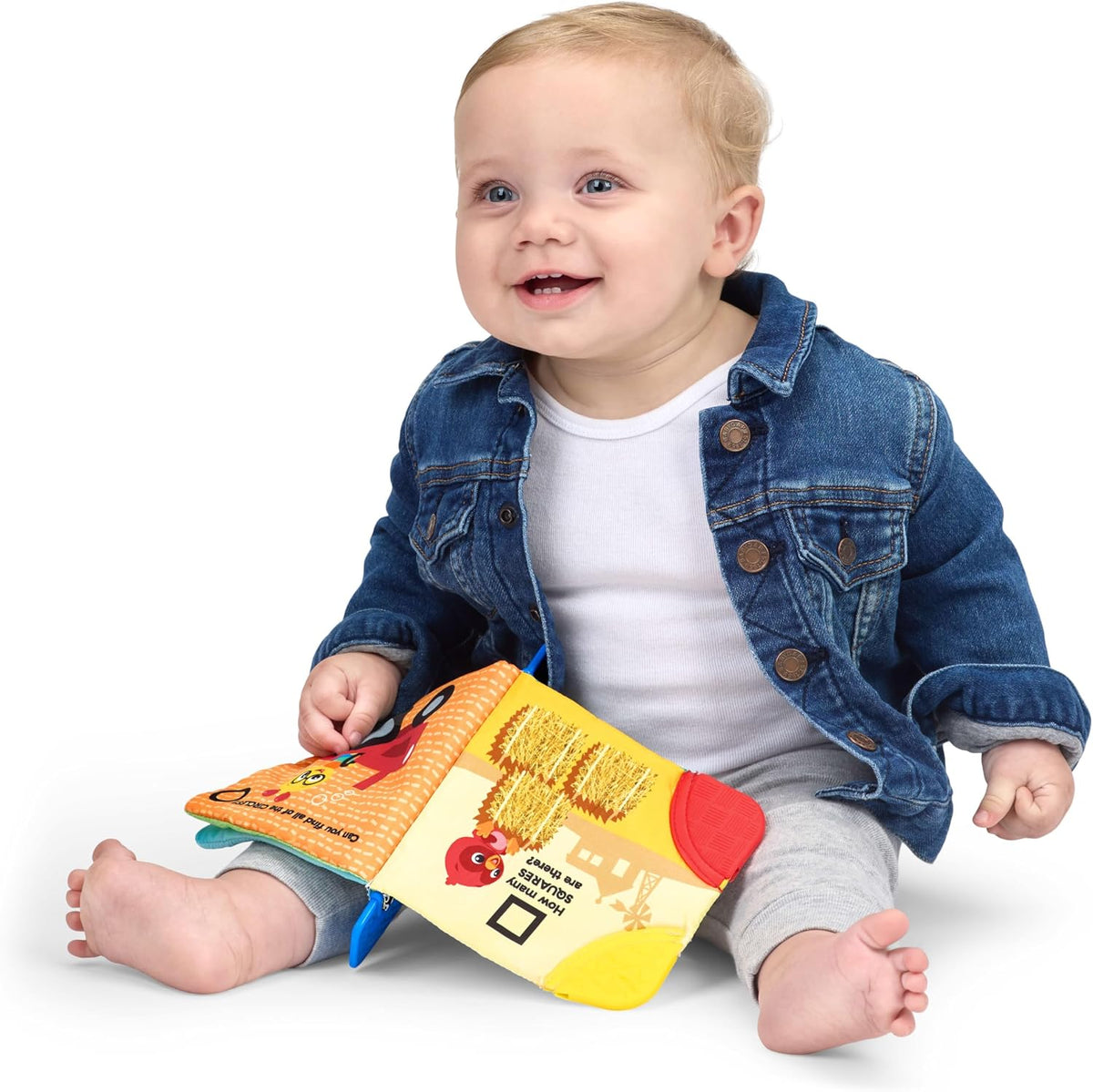 Baby Einstein Farm Explorers Shapes at the Farm - Libro de mordedor...