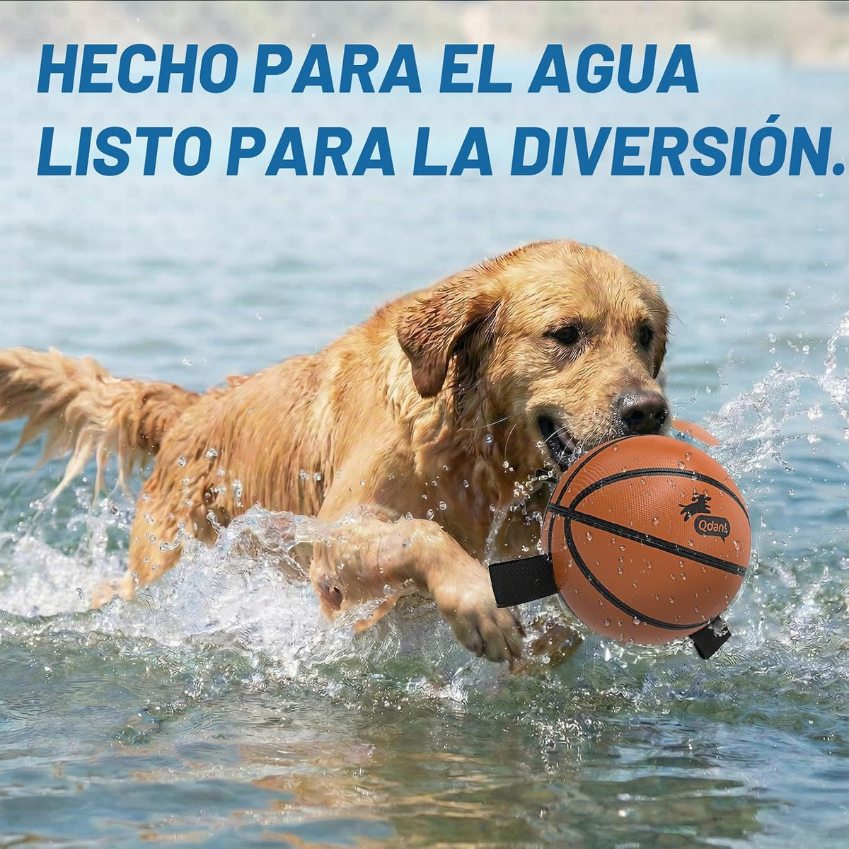 QDAN Pelota de baloncesto para perros, bolas con correas, juguete d...