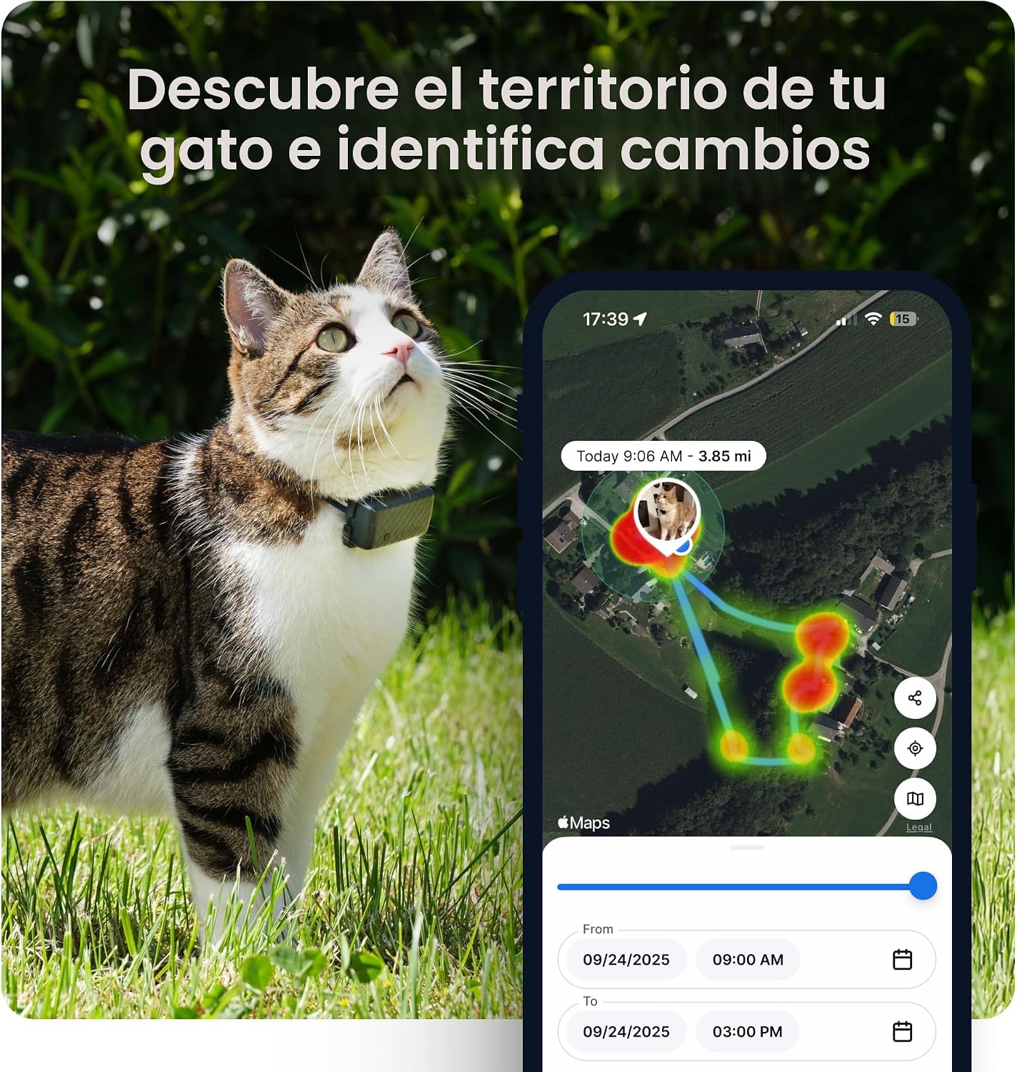 Tractive Rastreador GPS inteligente para gatos | Monitoreo de ubica...