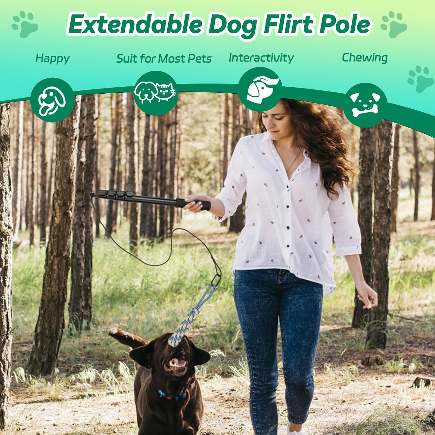 AmaCielo Palo de Flirt para Perros, Juguetes Interactivos de Tira y...