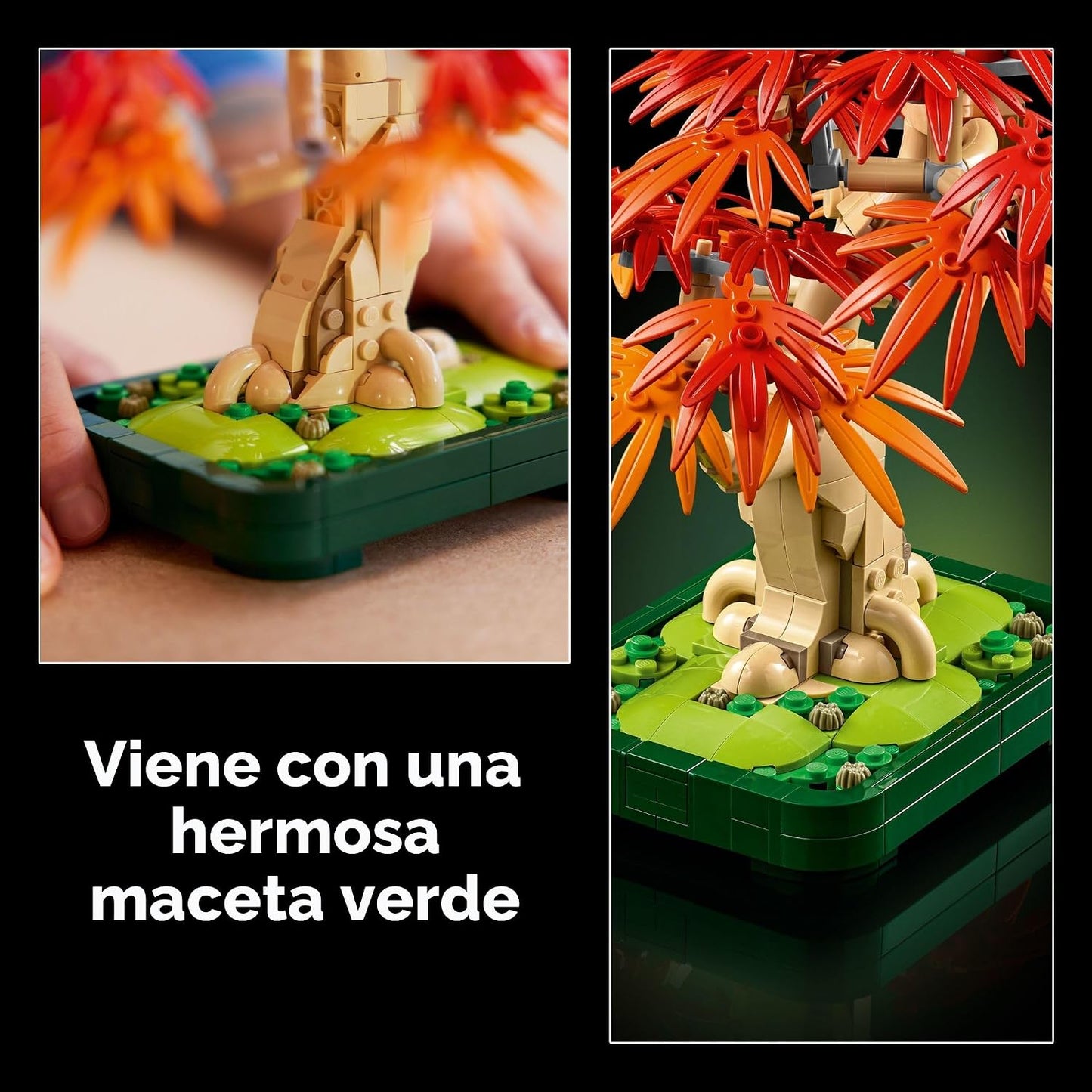 LEGO Botanicals 10348 - Kit de construcción de árbol bonsái de arce...