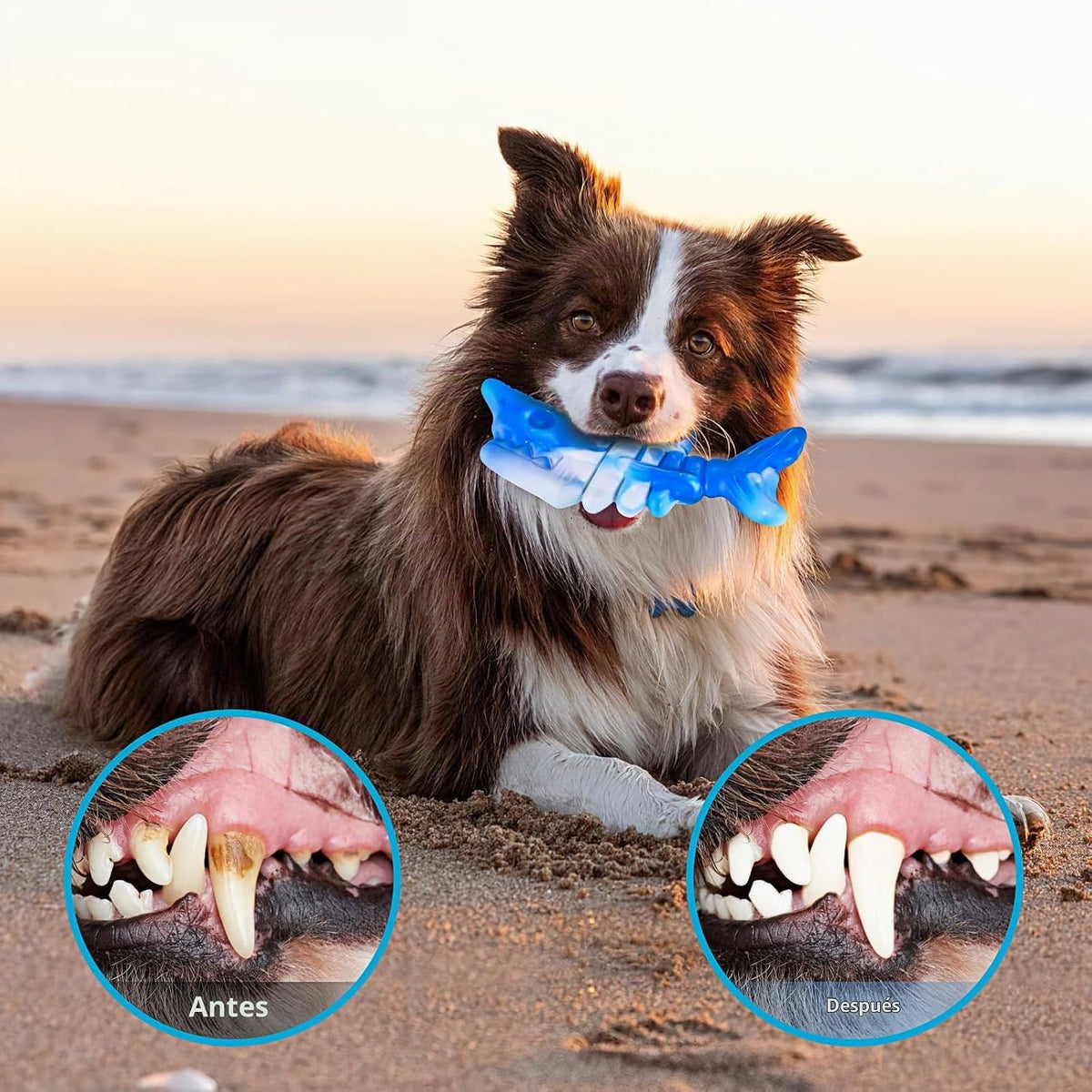 PETSTA - Juguetes para morder para perros masticadores agresivos, j...