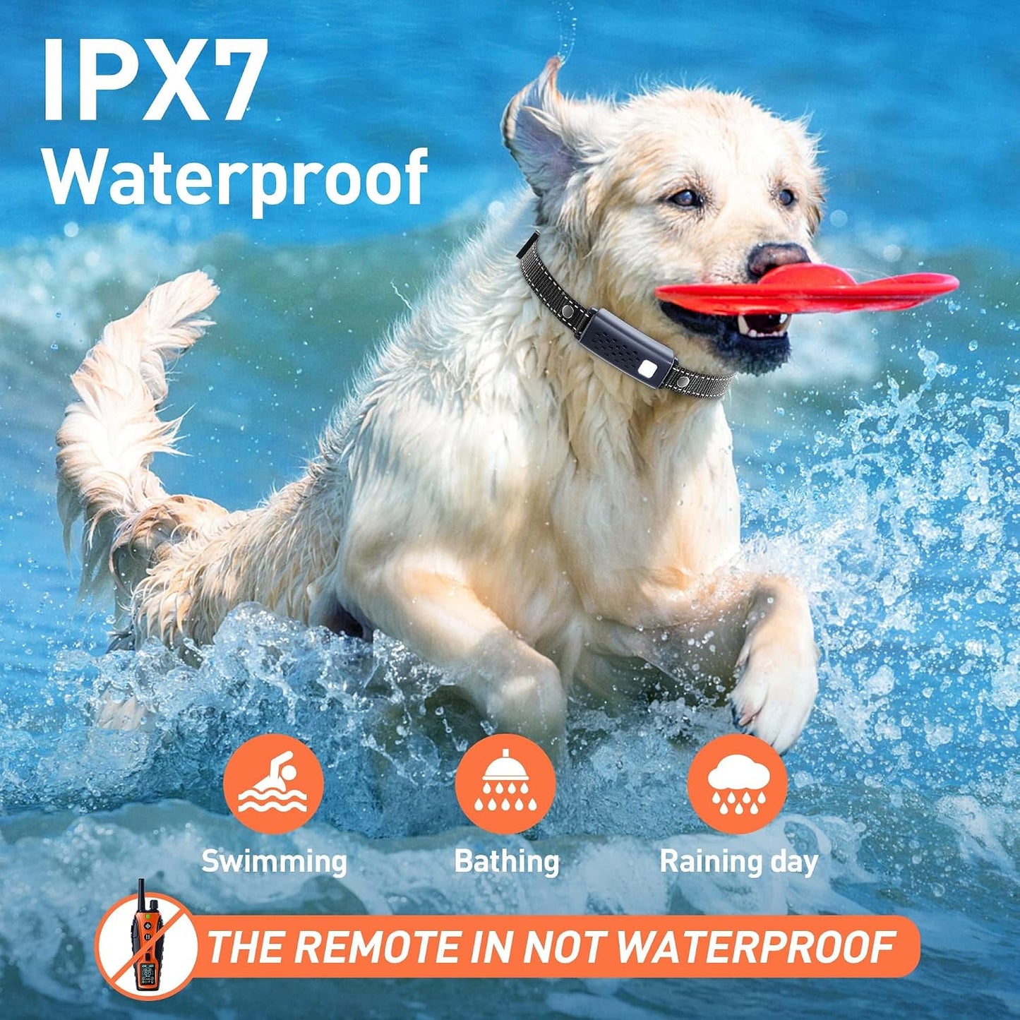 Collar de Choque para Perros con Luz Intermitente para Paseos Noctu...