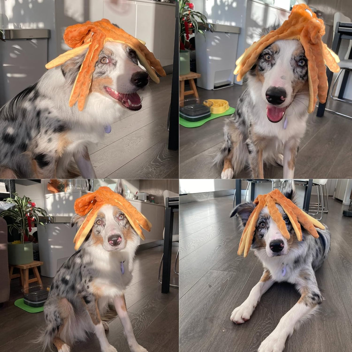 HGB Juguetes chirriantes para perros, sin relleno, pulpo arrugado p...