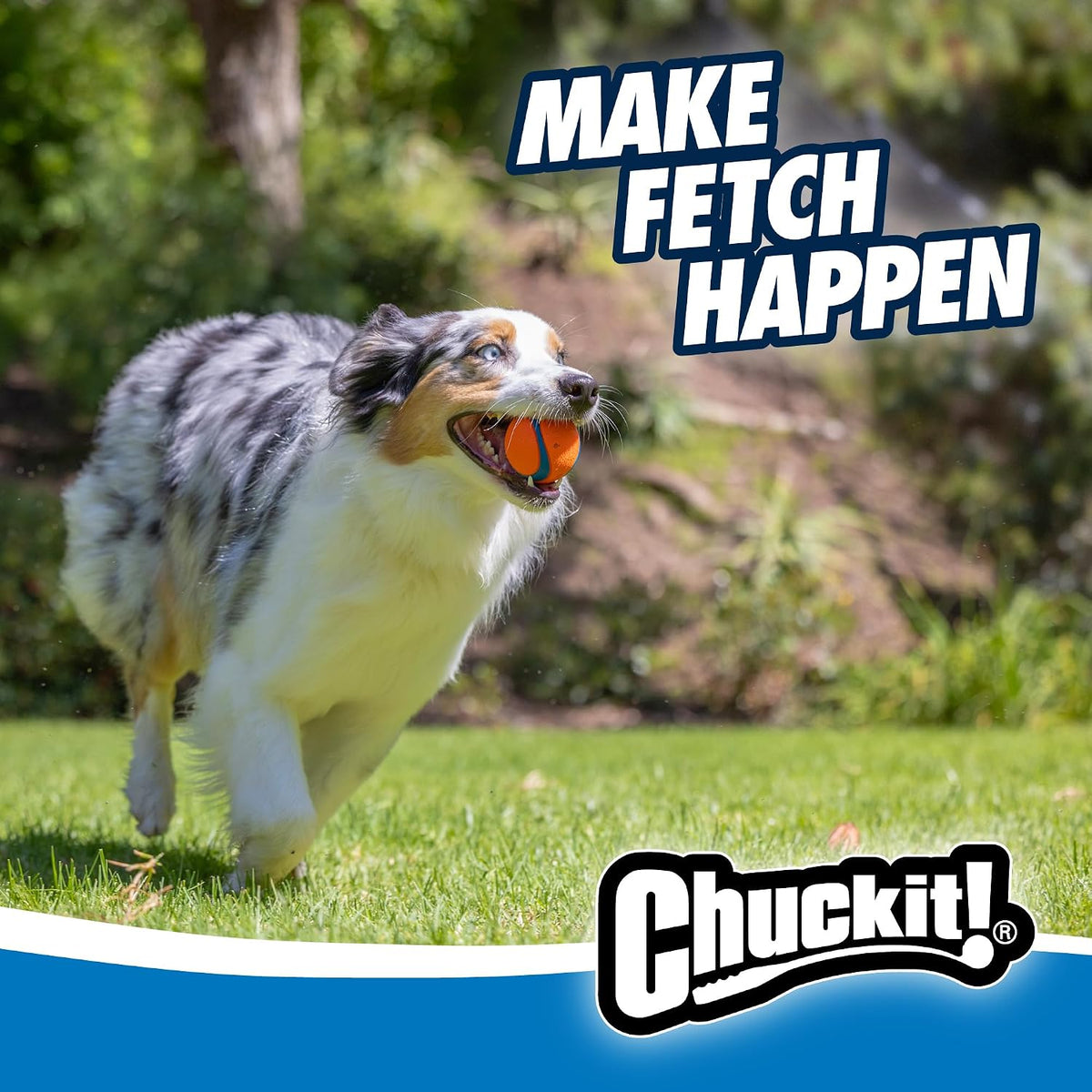 Chuckit - Pelotas para perros Gen 1, juguetes interactivos para per...