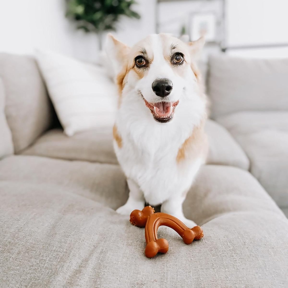 Nylabone Power Chew - Juguete ergonómico para masticar y sujetar y...