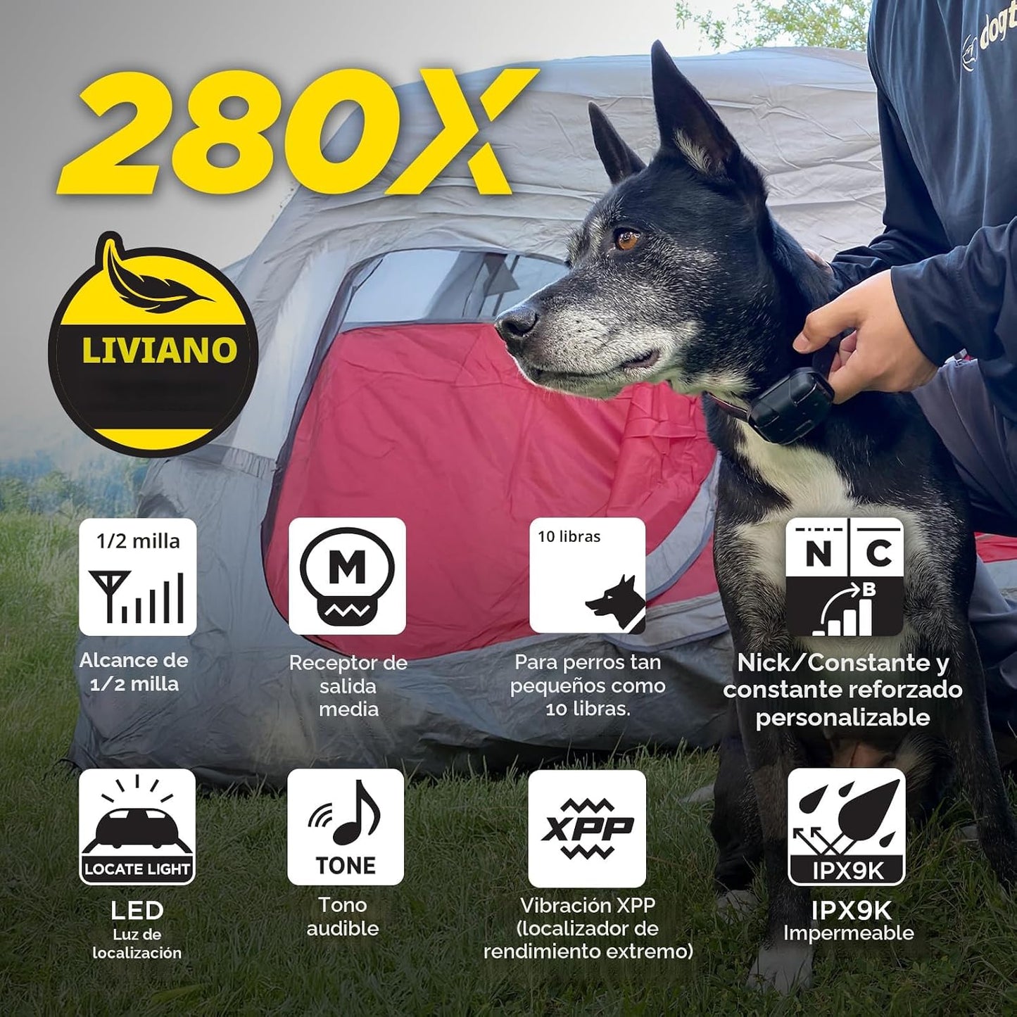 Dogtra Collar de Entrenamiento 280X con Control Remoto [Nueva Edici...