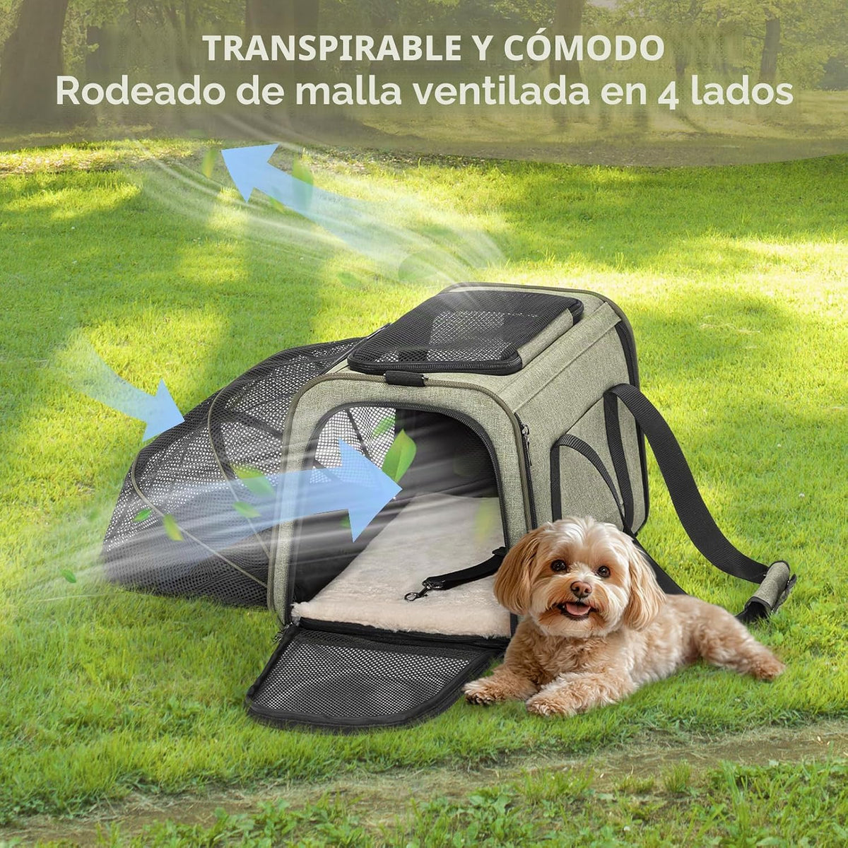 Petsfit Transportador de gatos mediano expandible para viajes aéreo...