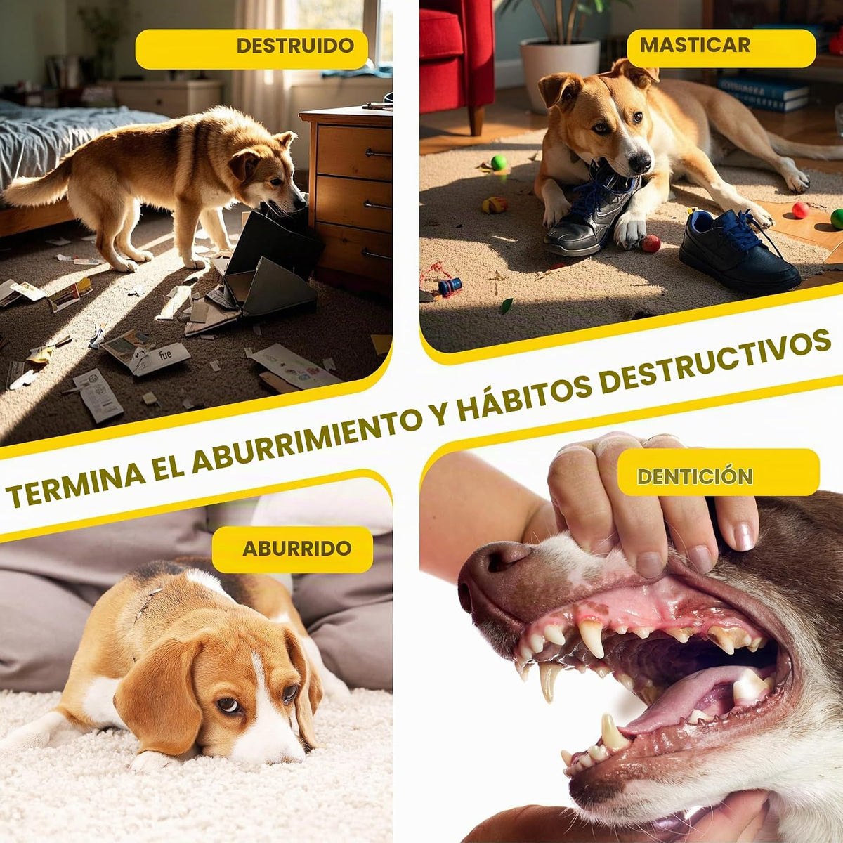 Fida Juguetes de Cuerda para Perros Paquete de 4, Cuerdas de Algodó...