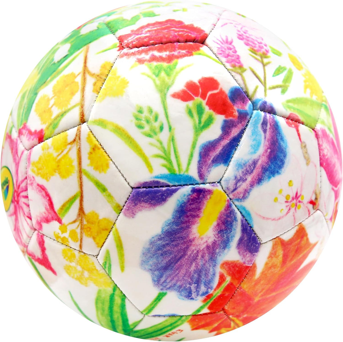 Icon Sports Balón de fútbol con licencia oficial de la Federación d...