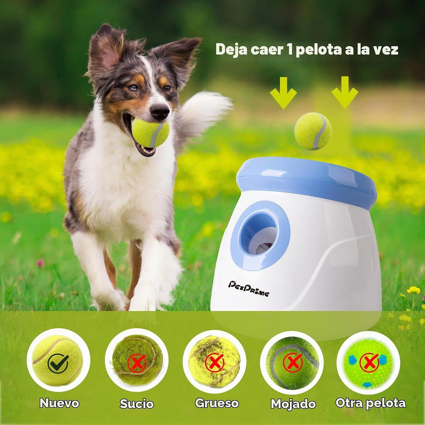 Pet Prime Lanzador automático de bolas para perros pequeños y media...
