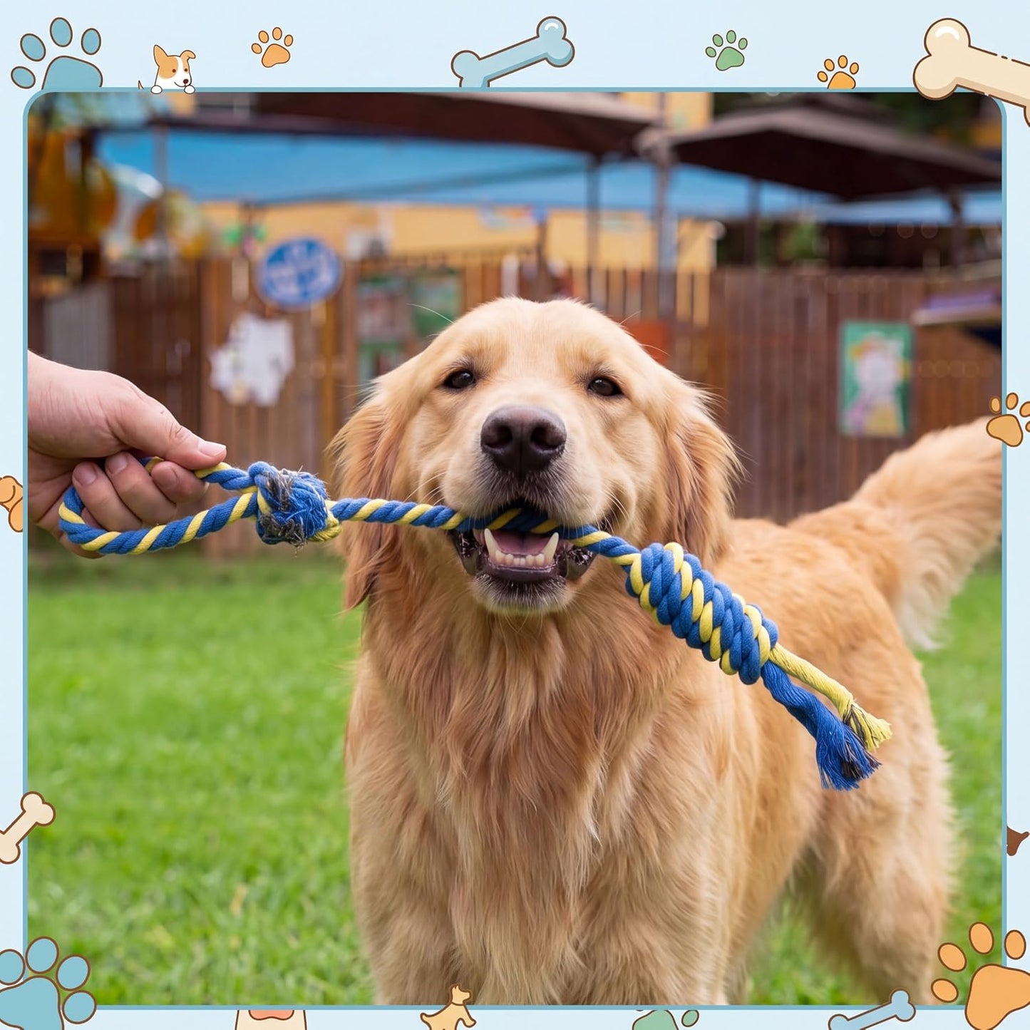 Leitee 50 piezas de juguetes de cuerda para perros a granel, intera...