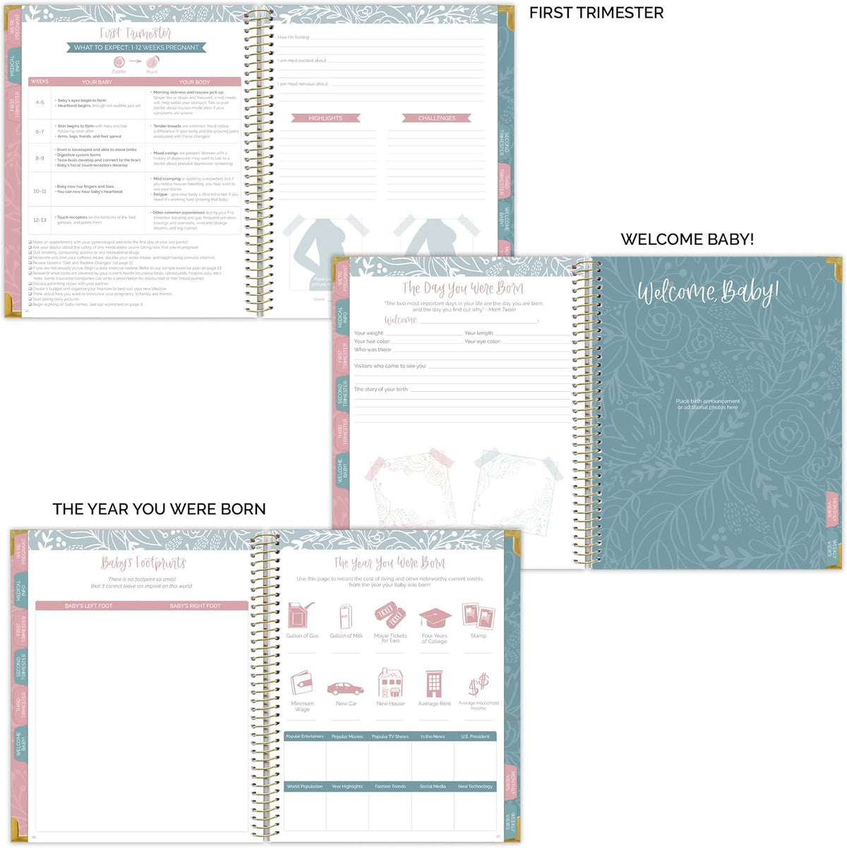 bloom daily planners Nuevo Calendario Planificador de Embarazo y Pr...