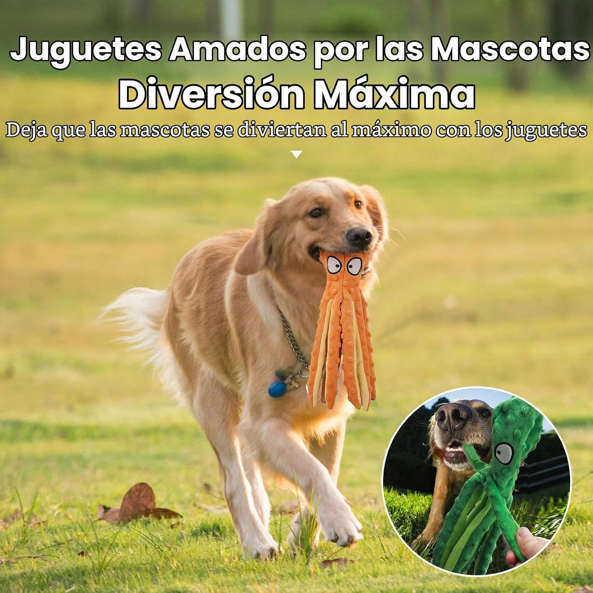 HGB Juguetes chirriantes para perros, sin relleno, pulpo arrugado p...