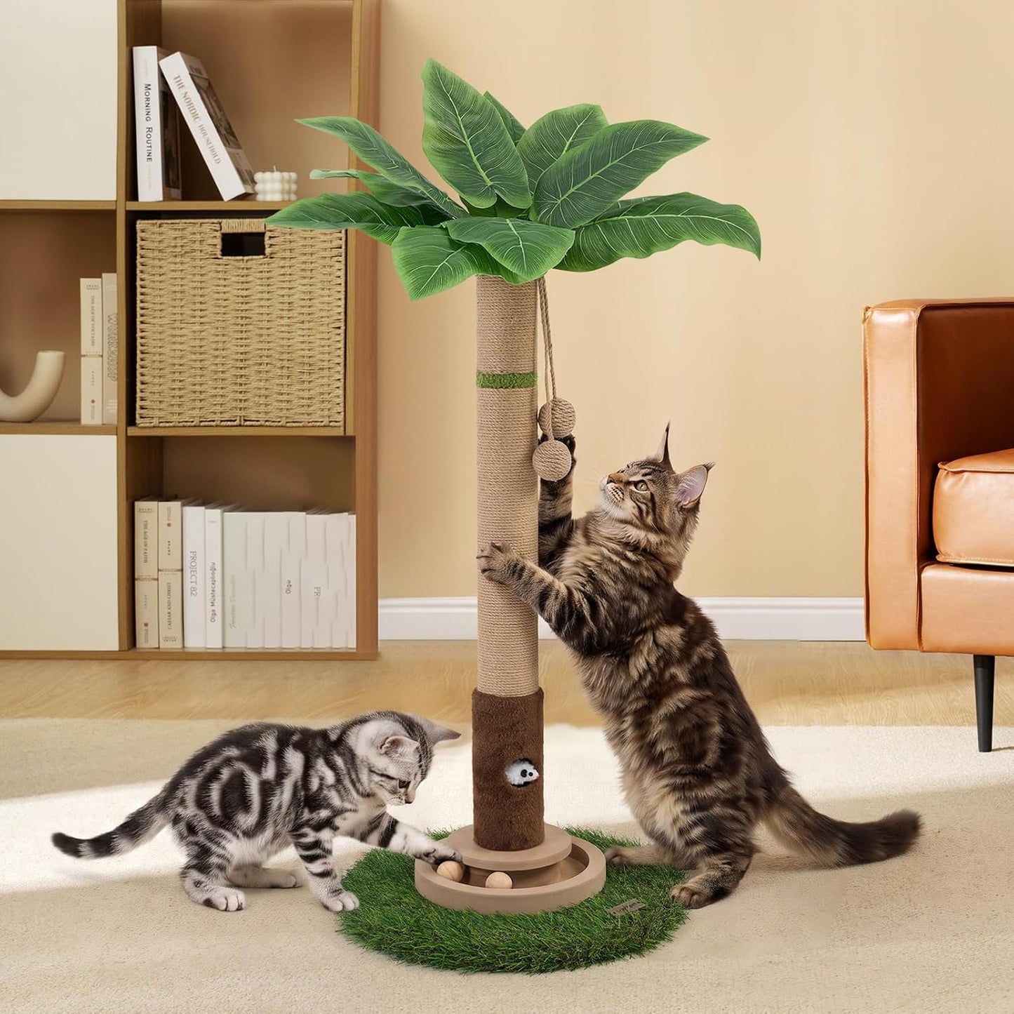 Woochpet Poste rascador para gatos de 35 pulgadas de alto, torre ra...