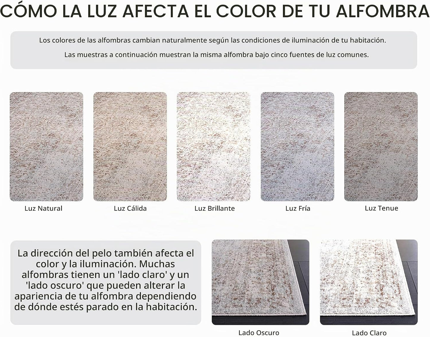 SAFAVIEH Alfombra de Área 9x12 - Colección Evoke - Grande - Marfil...