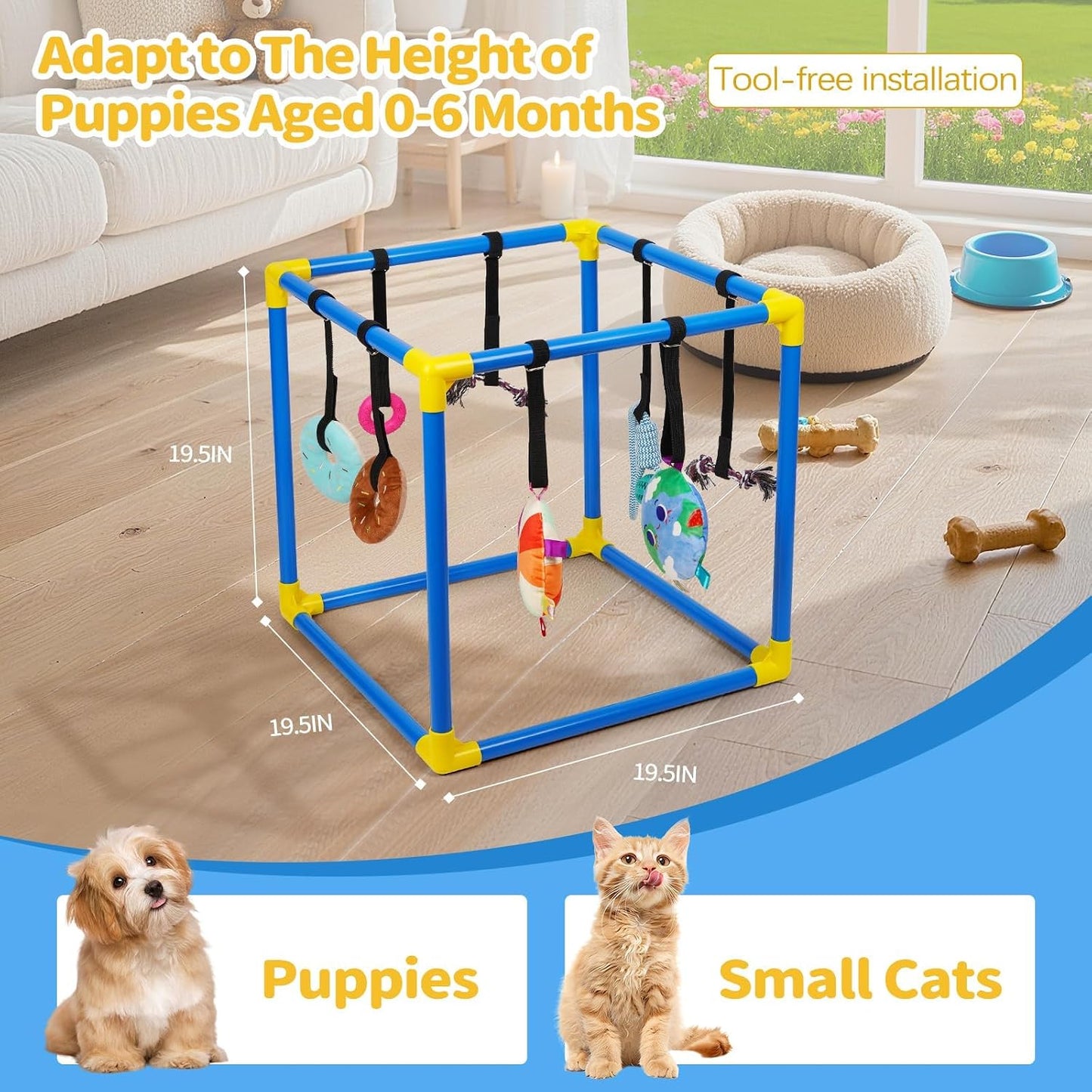 Liitrton - Gimnasio de juego para cachorros para perros pequeños co...