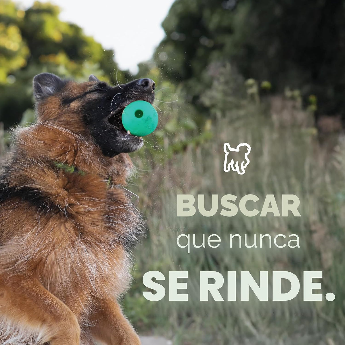 Chew King - Pelotas para lanzar y buscar, juguete de goma natural e...