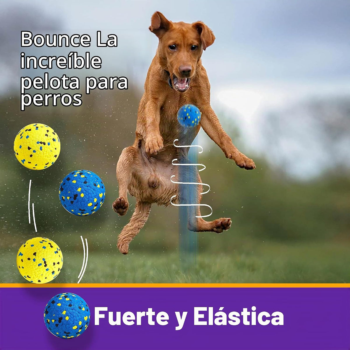 Kimee Pelotas de tenis para perros, juguetes para perros masticador...