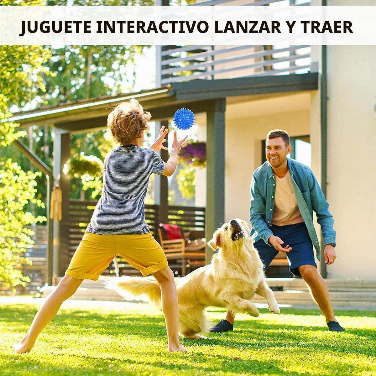 petizer Paquete de 6 pelotas de juguete para perros con sonido de 3...