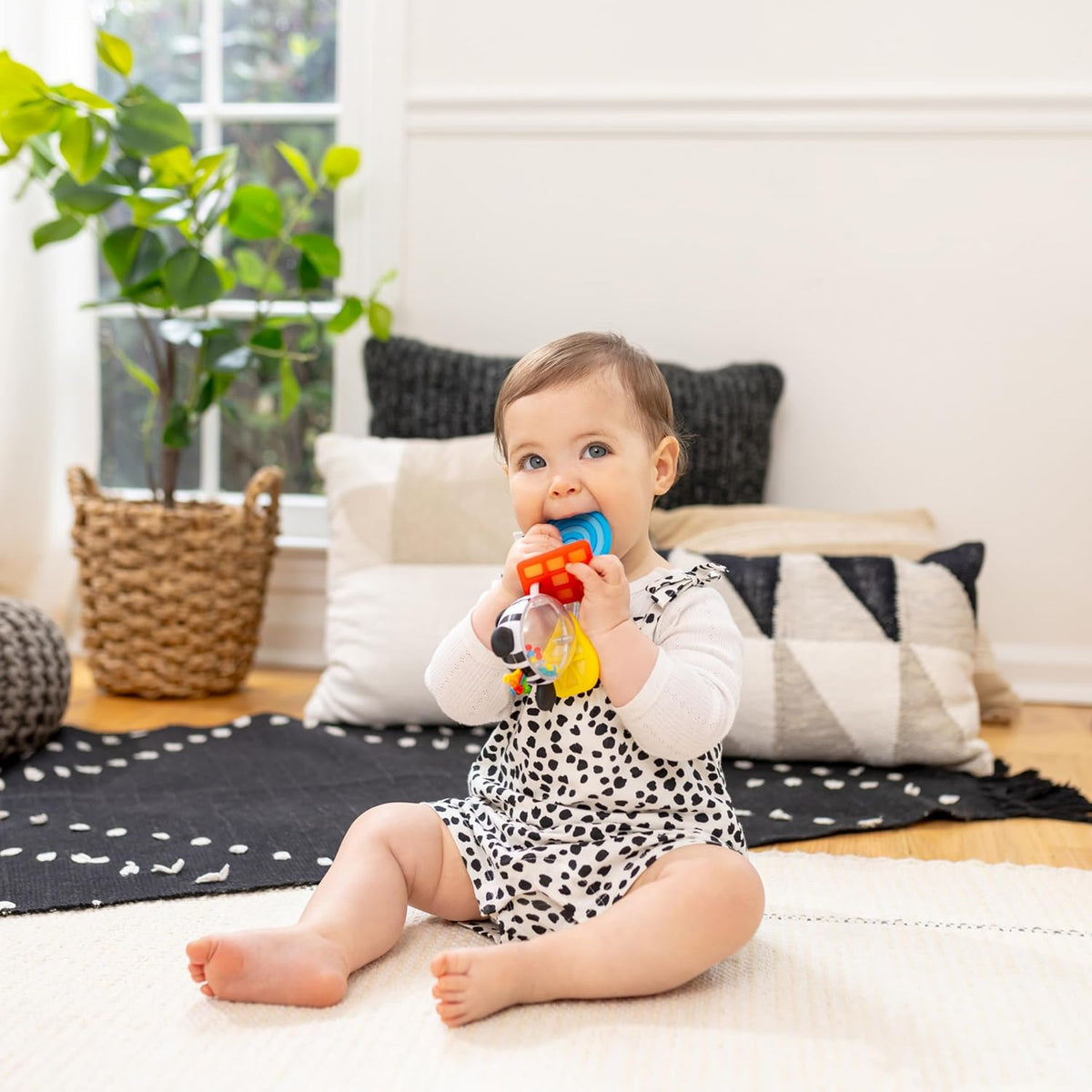 Baby Einstein Shake-a-Shape - Juguete mordedor zen, multisensorial,...